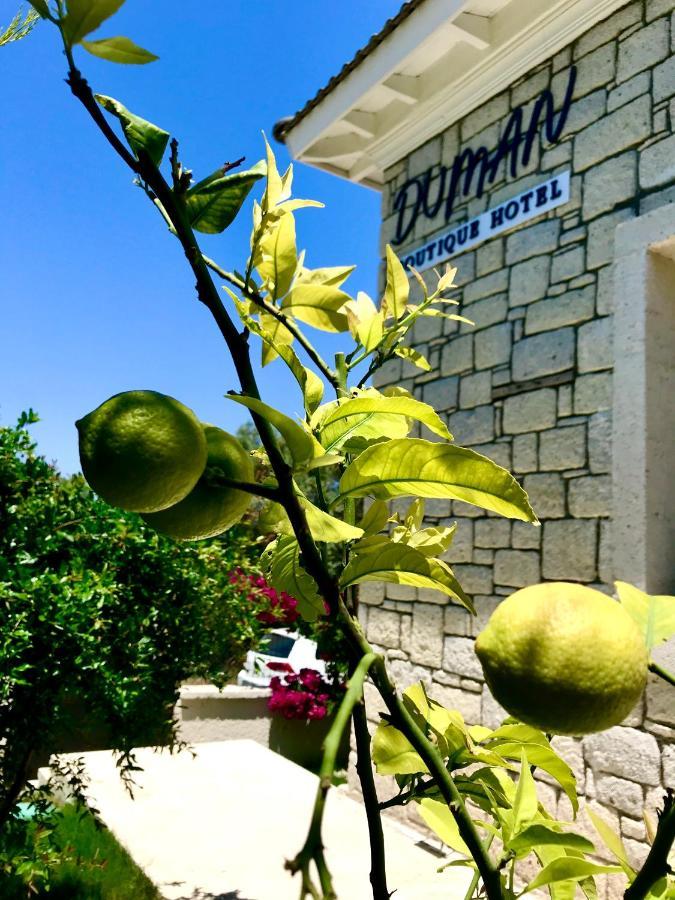 Duman Boutique Hotel Чешме Екстер'єр фото